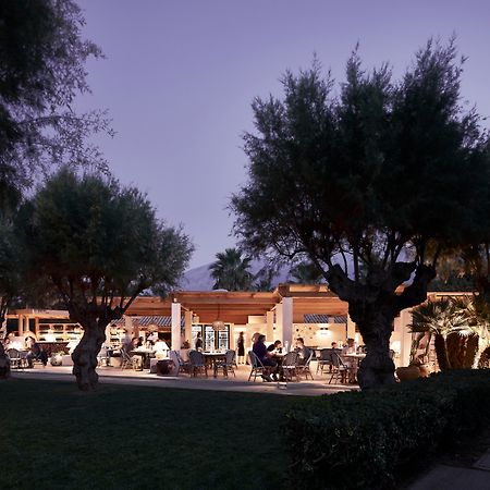 Phaea Cretan Malia, A Member Of Design Hotels Eksteriør billede