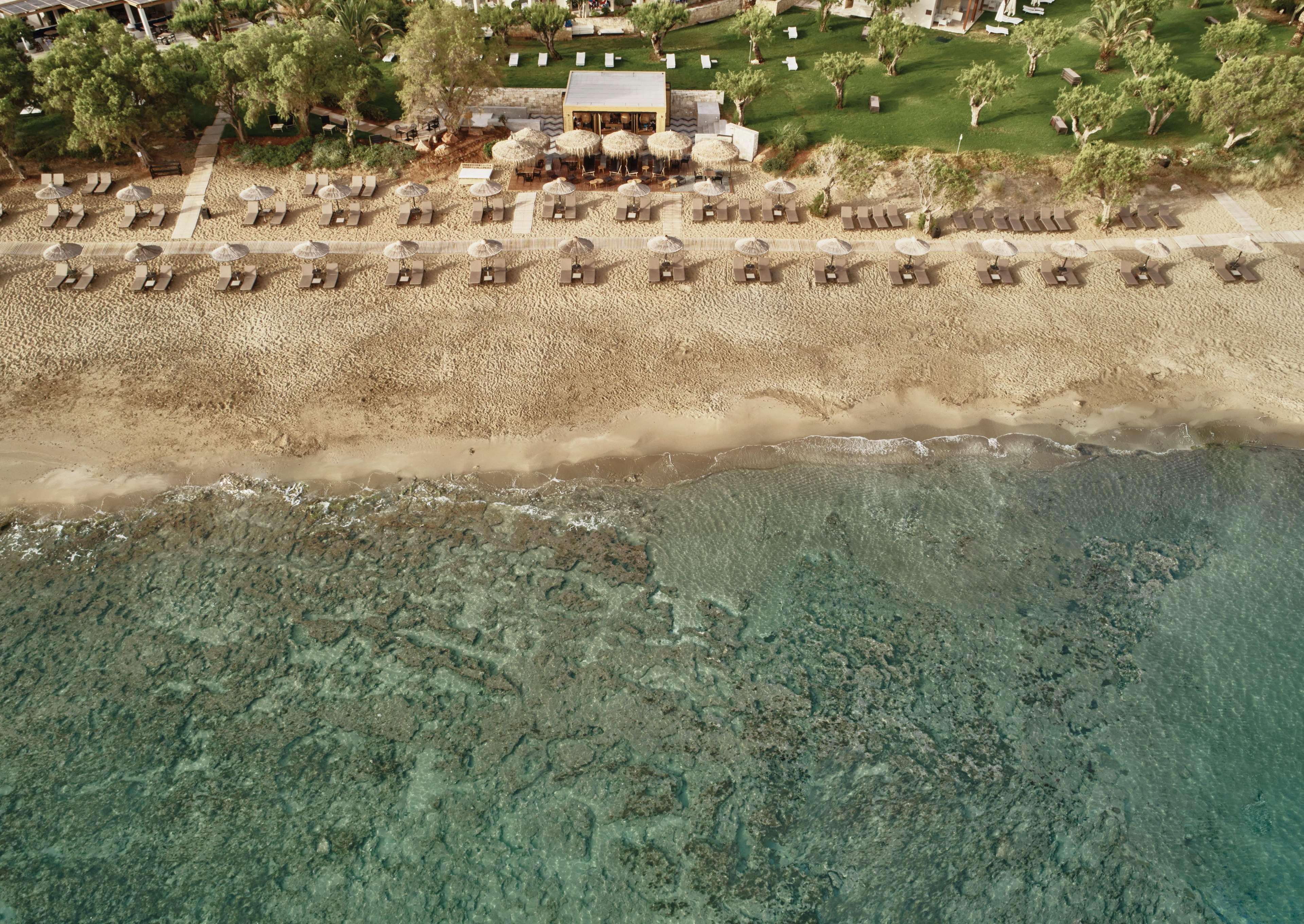 Phaea Cretan Malia, A Member Of Design Hotels Eksteriør billede