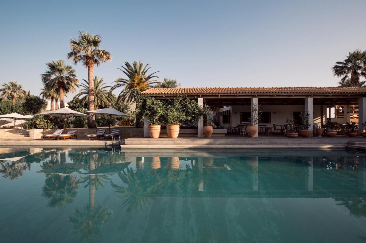 Phaea Cretan Malia, A Member Of Design Hotels Eksteriør billede