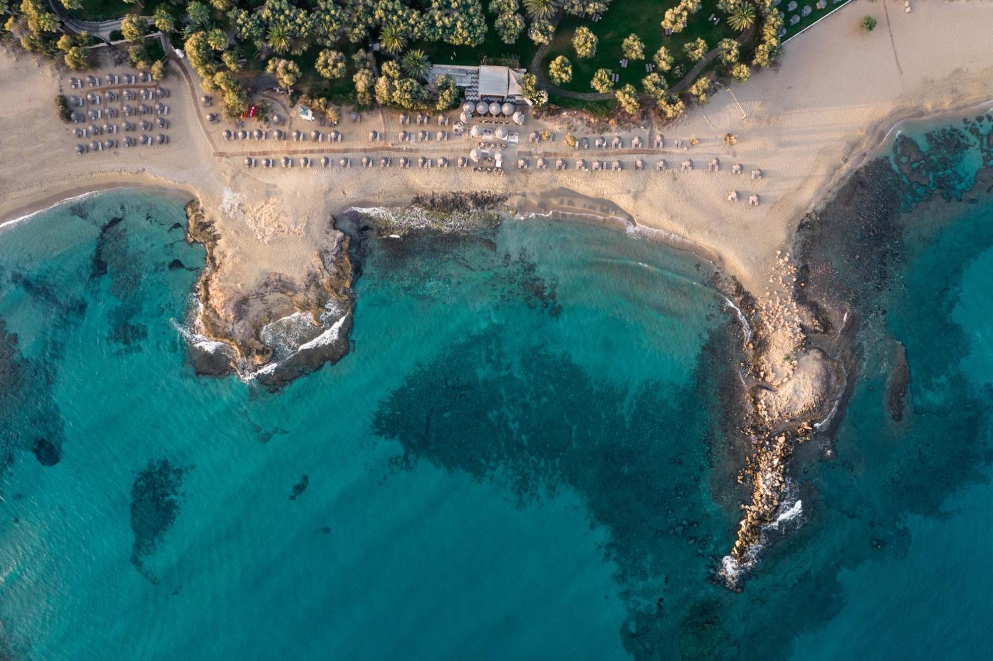 Phaea Cretan Malia, A Member Of Design Hotels Eksteriør billede